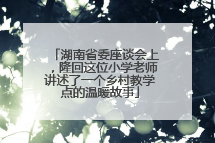 湖南省委座谈会上，隆回这位小学老师讲述了一个乡村教学点的温暖故事