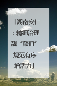 湖南安仁：精细治理靓“颜值” 规范有序增活力