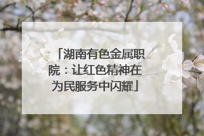 湖南有色金属职院：让红色精神在为民服务中闪耀