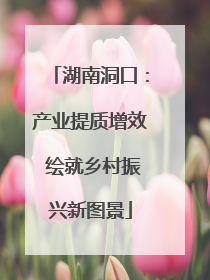 湖南洞口：产业提质增效 绘就乡村振兴新图景