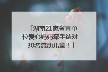 湖南21家省直单位爱心妈妈牵手结对30名流动儿童！