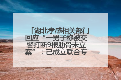 湖北孝感相关部门回应“一男子称被交警打断9根肋骨未立案”：已成立联合专班开展工作