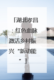 湖北孝昌：红色血脉激活乡村振兴“新动能”