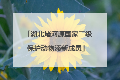 湖北堵河源国家二级保护动物添新成员