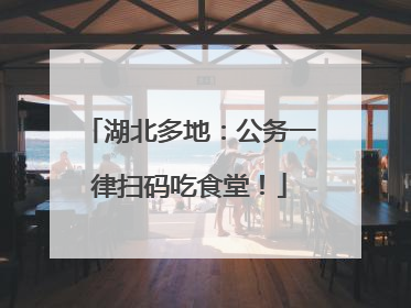 湖北多地：公务一律扫码吃食堂！