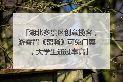 湖北多景区创意揽客，游客背《离骚》可免门票，大学生通过率高