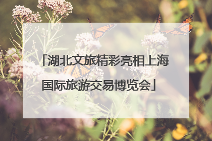 湖北文旅精彩亮相上海国际旅游交易博览会