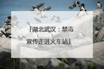 湖北武汉：禁毒宣传走进火车站