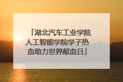 湖北汽车工业学院人工智能学院学子热血助力世界献血日