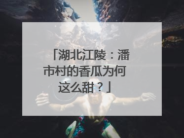 湖北江陵：潘市村的香瓜为何这么甜？