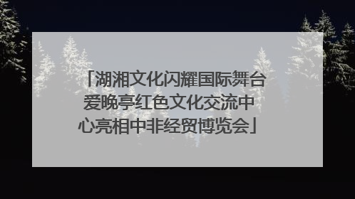 湖湘文化闪耀国际舞台 爱晚亭红色文化交流中心亮相中非经贸博览会