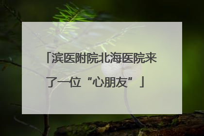 滨医附院北海医院来了一位“心朋友”