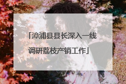 漳浦县县长深入一线调研荔枝产销工作