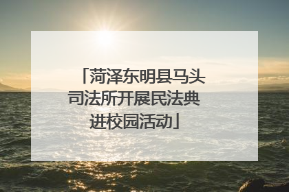 菏泽东明县马头司法所开展民法典进校园活动