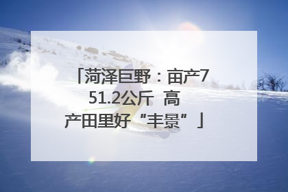 菏泽巨野：亩产751.2公斤  高产田里好“丰景”