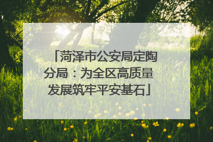 菏泽市公安局定陶分局：为全区高质量发展筑牢平安基石