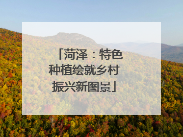 菏泽：特色种植绘就乡村振兴新图景