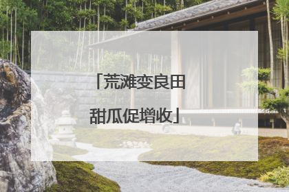荒滩变良田 甜瓜促增收