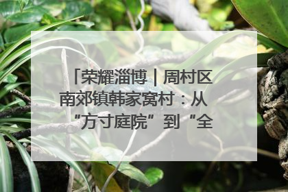 荣耀淄博｜周村区南郊镇韩家窝村：从“方寸庭院”到“全域文明”，乡村振兴的“美学革命”