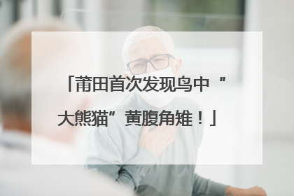 莆田首次发现鸟中“大熊猫”黄腹角雉！