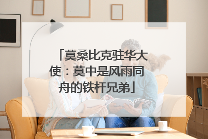 莫桑比克驻华大使：莫中是风雨同舟的铁杆兄弟