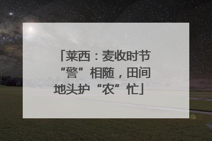 莱西：麦收时节“警”相随，田间地头护“农”忙