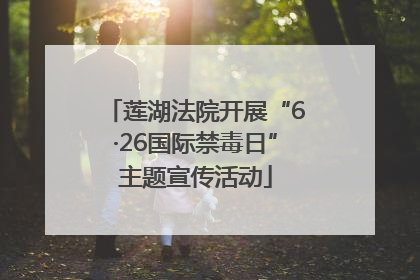 莲湖法院开展“6·26国际禁毒日”主题宣传活动