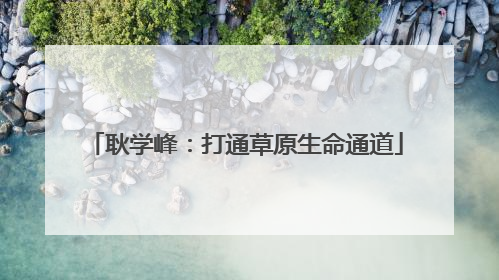 耿学峰：打通草原生命通道