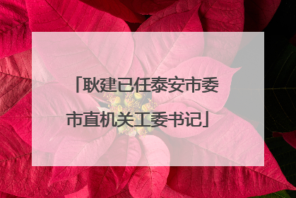 耿建已任泰安市委市直机关工委书记