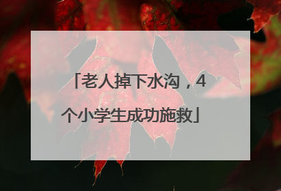 老人掉下水沟，4个小学生成功施救