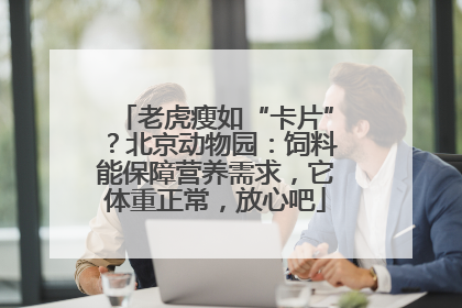 老虎瘦如“卡片”？北京动物园：饲料能保障营养需求，它体重正常，放心吧