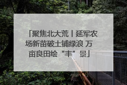 聚焦北大荒丨延军农场新苗破土铺绿浪 万亩良田绘“丰”景