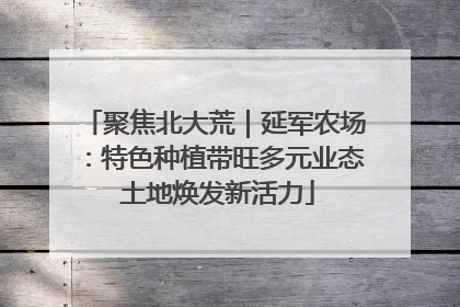 聚焦北大荒｜延军农场：特色种植带旺多元业态 土地焕发新活力