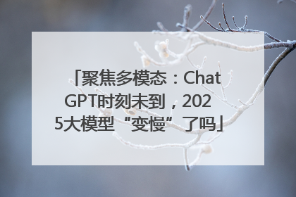 聚焦多模态：ChatGPT时刻未到，2025大模型“变慢”了吗