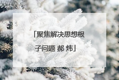 聚焦解决思想根子问题 郝 炜