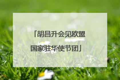 胡昌升会见欧盟国家驻华使节团