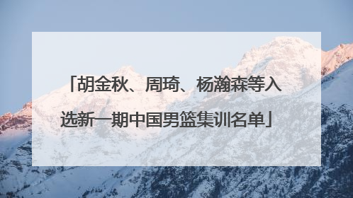 胡金秋、周琦、杨瀚森等入选新一期中国男篮集训名单