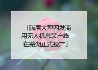 腾盾大型四发商用无人机总装产线在芜湖正式投产