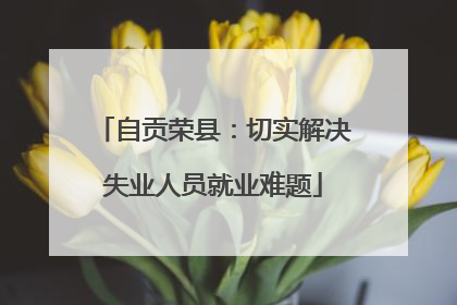 自贡荣县：切实解决失业人员就业难题