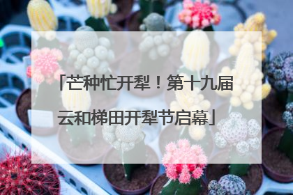 芒种忙开犁！第十九届云和梯田开犁节启幕