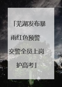 芜湖发布暴雨红色预警 交警全员上岗护高考