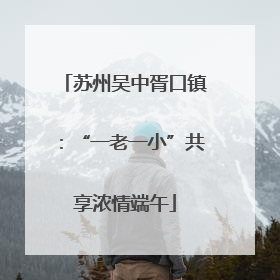 苏州吴中胥口镇：“一老一小”共享浓情端午