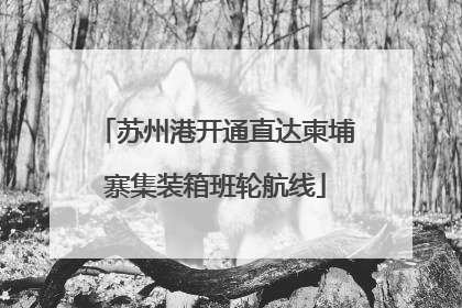 苏州港开通直达柬埔寨集装箱班轮航线