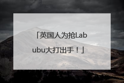 英国人为抢Labubu大打出手！