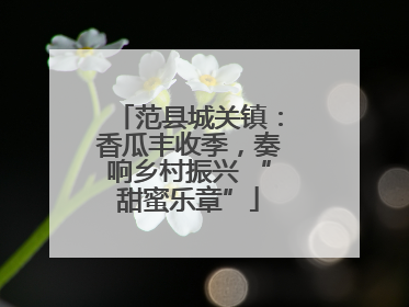 范县城关镇：香瓜丰收季，奏响乡村振兴 “甜蜜乐章”