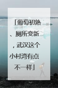 葡萄初熟、厕所变新，武汉这个小村湾有点不一样