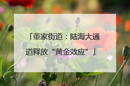 董家街道：陆海大通道释放“黄金效应”