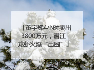董宇辉4小时卖出3800万元，潜江龙虾火爆“出圈”