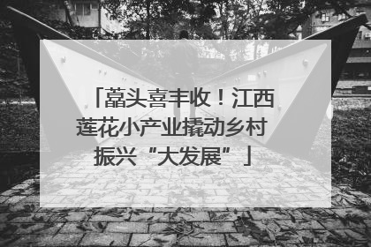 藠头喜丰收！江西莲花小产业撬动乡村振兴“大发展”