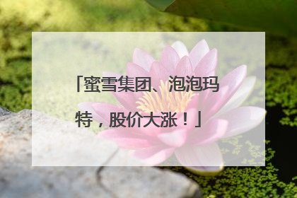 蜜雪集团、泡泡玛特，股价大涨！